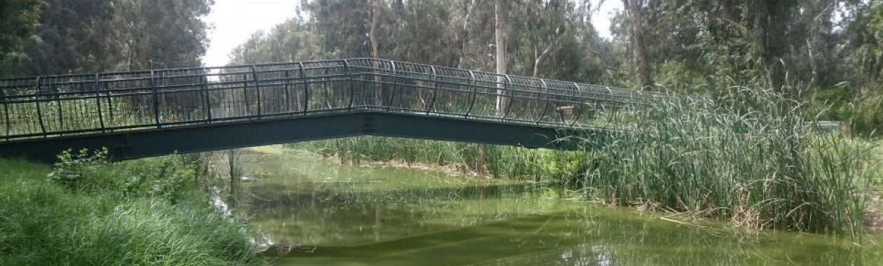 A Bridge Over Naaman River