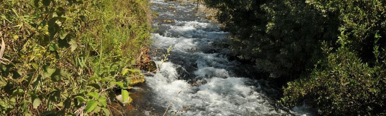 Dan River