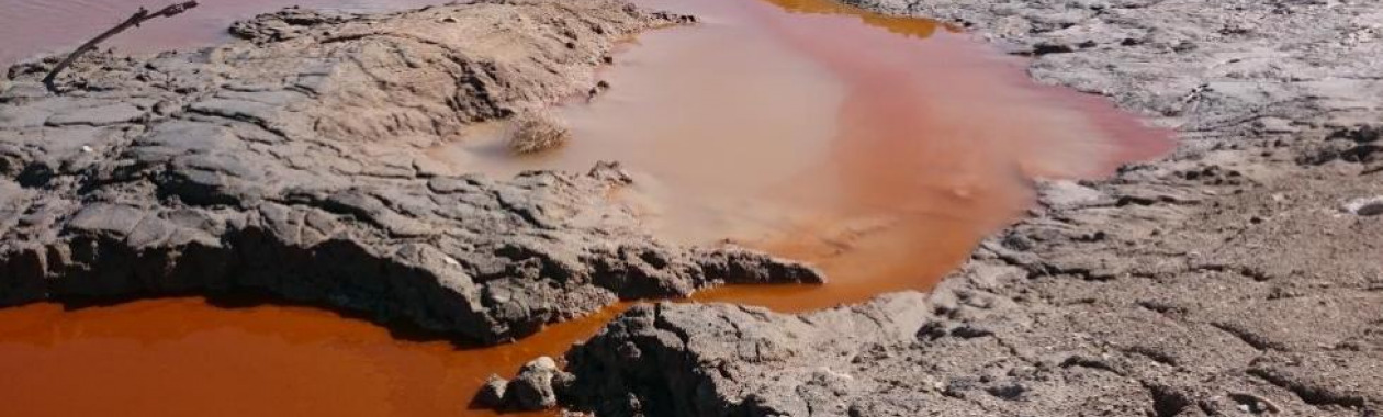 The Dead Sea