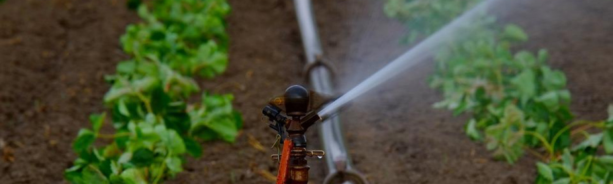 Irrigation